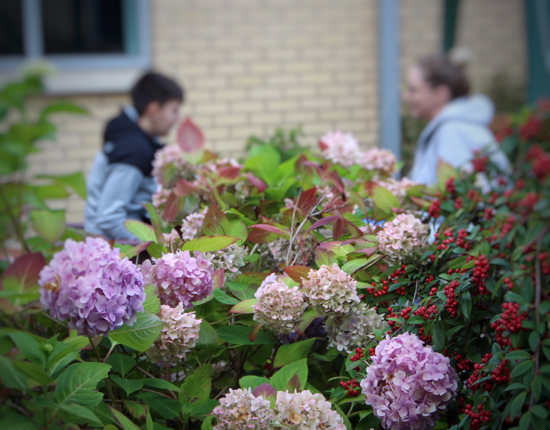 Standards Archive Secure Care Pathway and Standards Scotland
